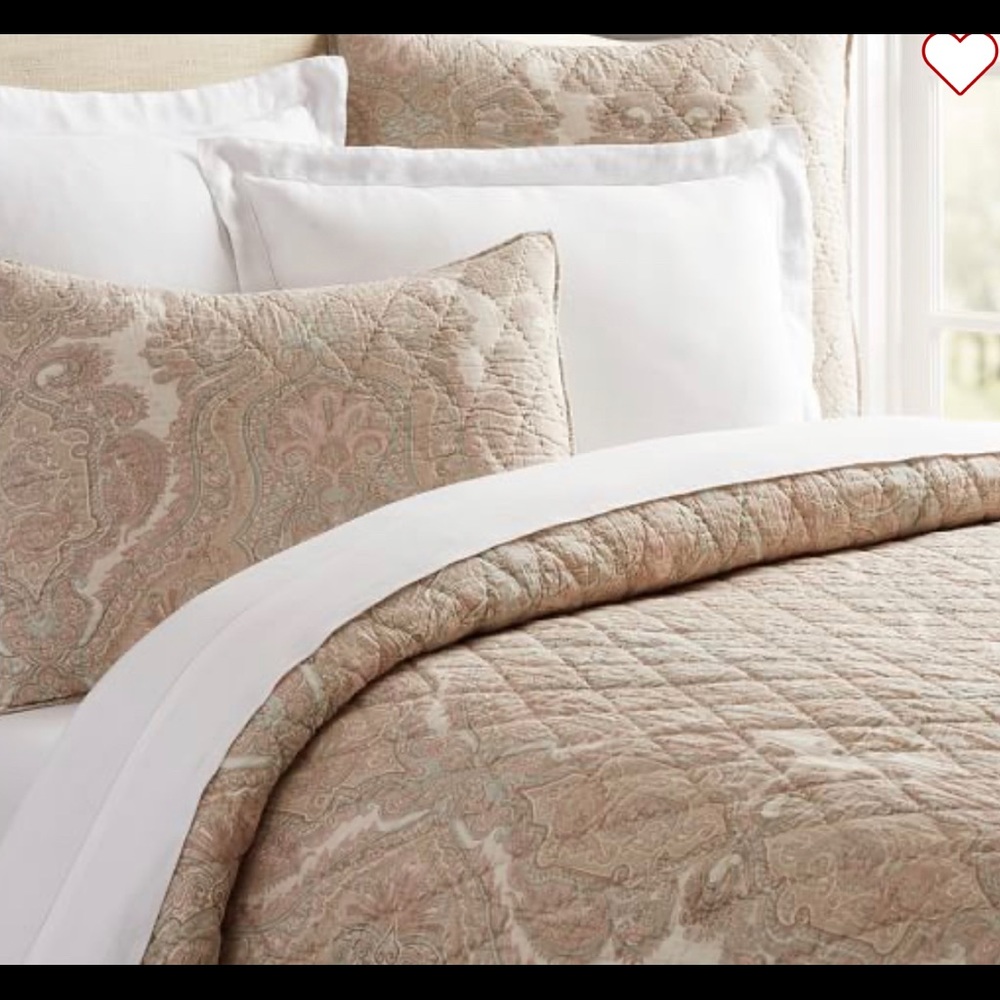 Pottery Barn Full/Queen Audrey Paisley Quilt w/2 standard size shams